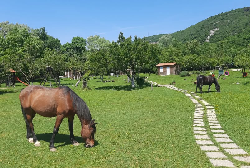 Korisne informacije