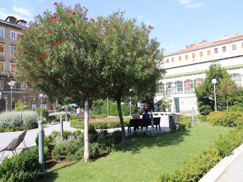 Kazališni park