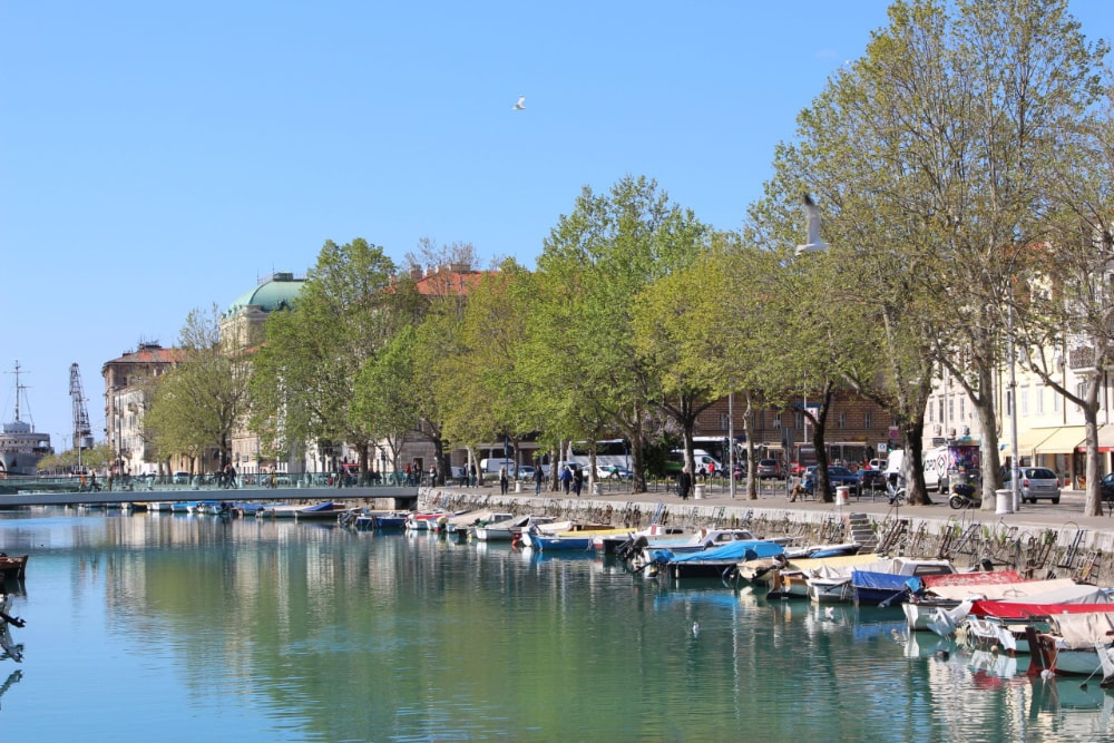 Mrtvi kanal