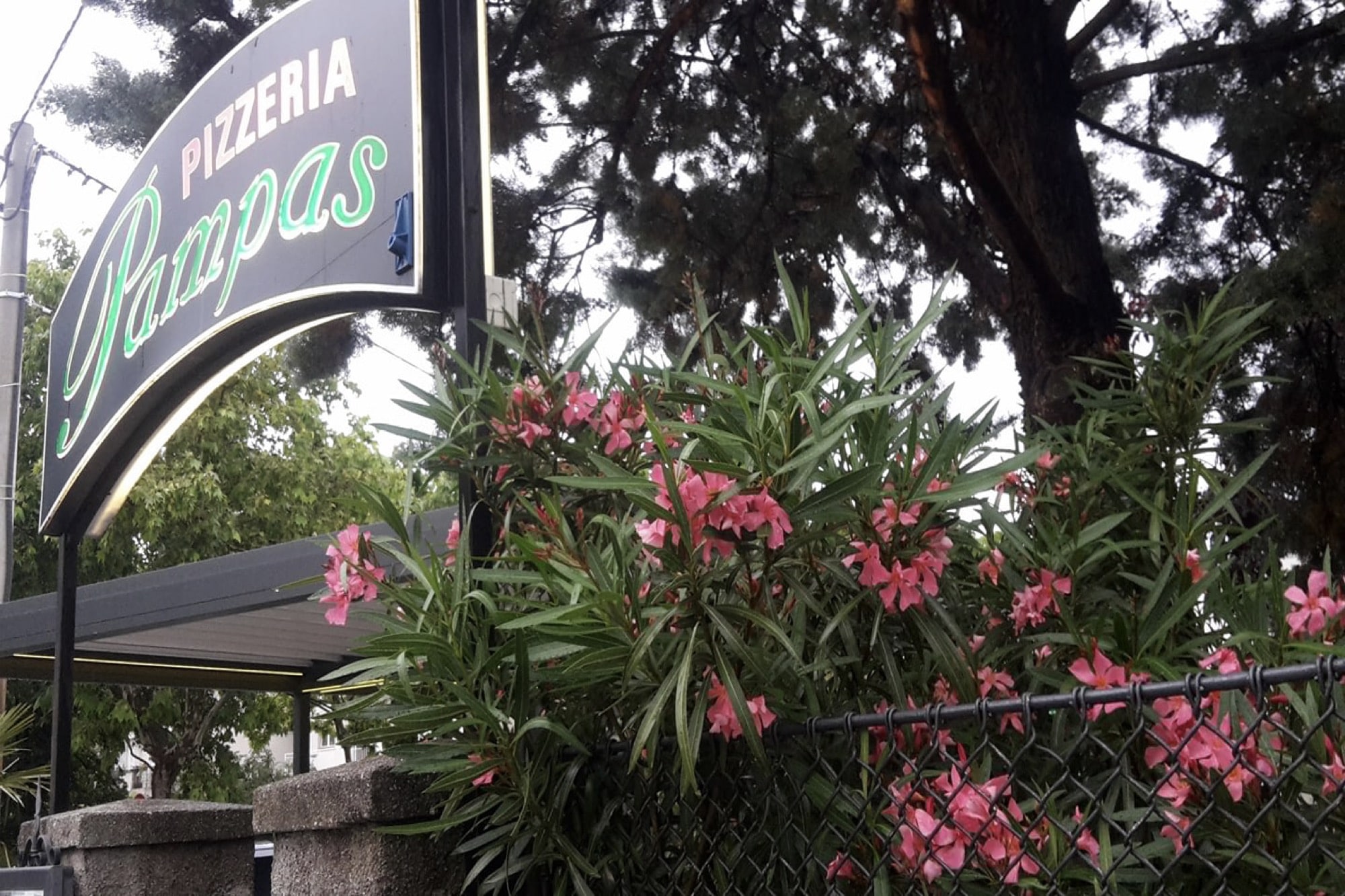 Pampas