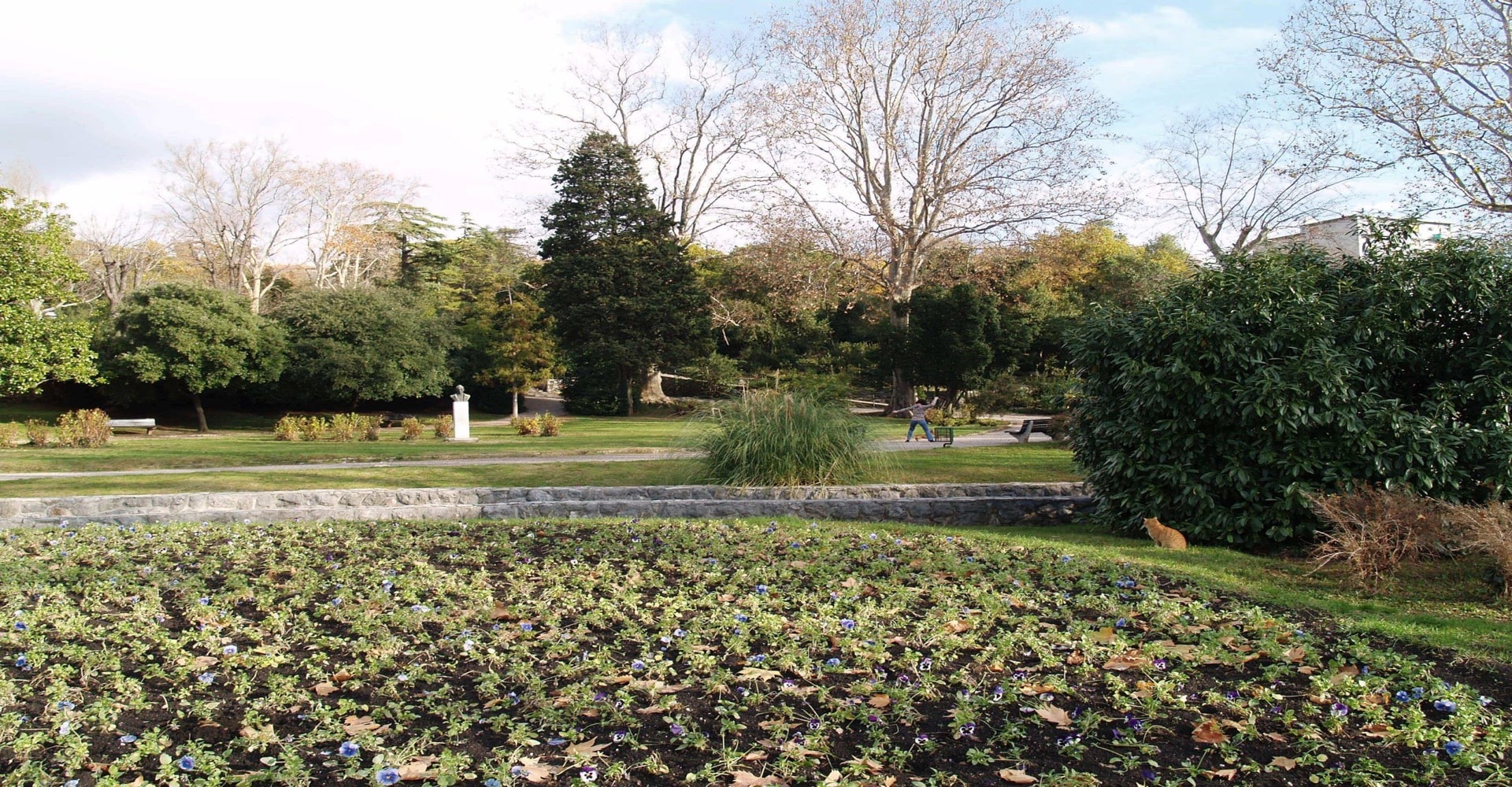 Park Mlaka