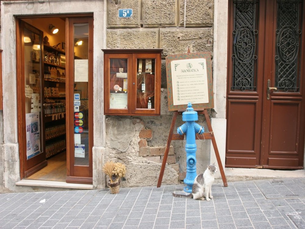 Stari grad