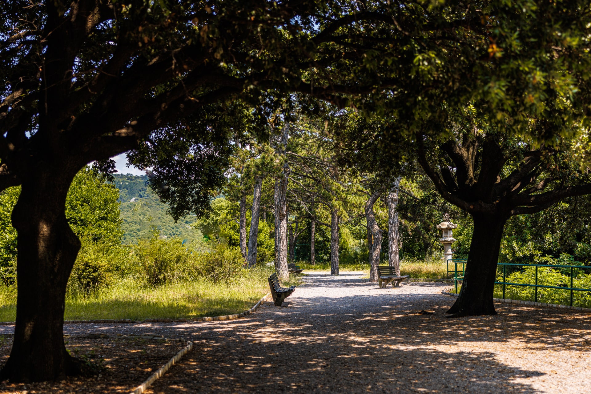 PARK NIKE KATUNARA
