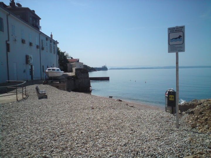 Plaža za pse Brajdica