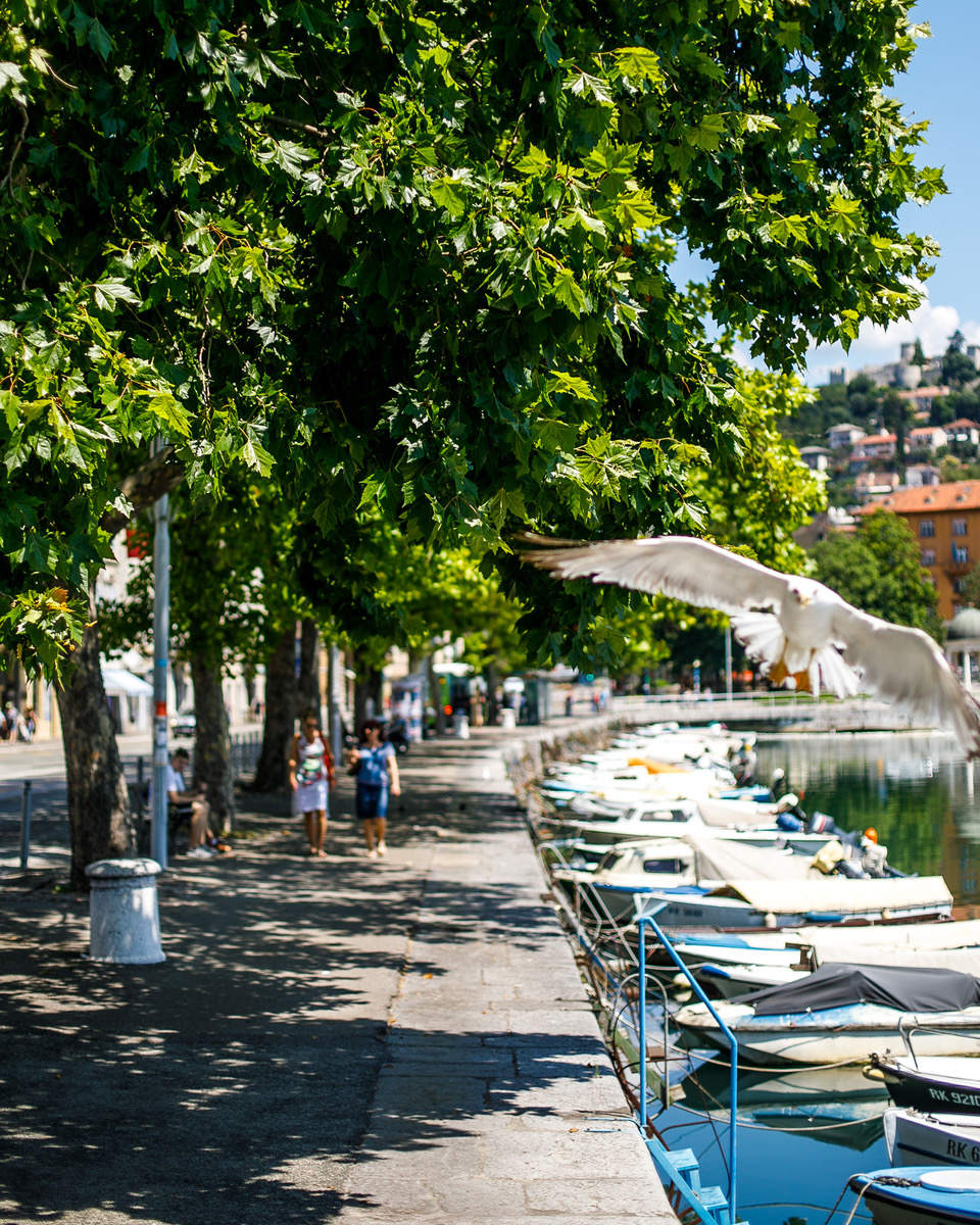 rijeka (26)