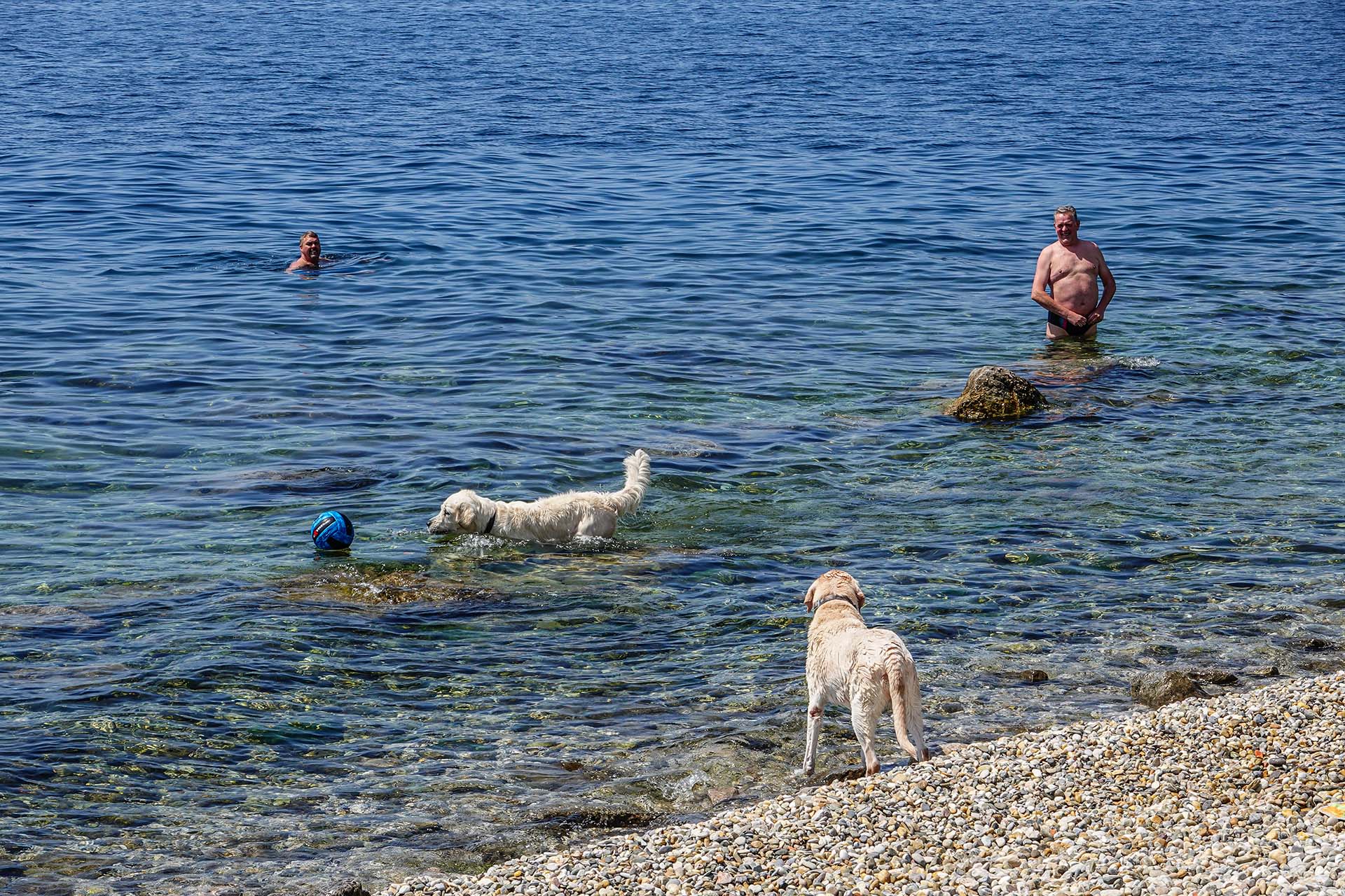 Plaža za pse Igralište