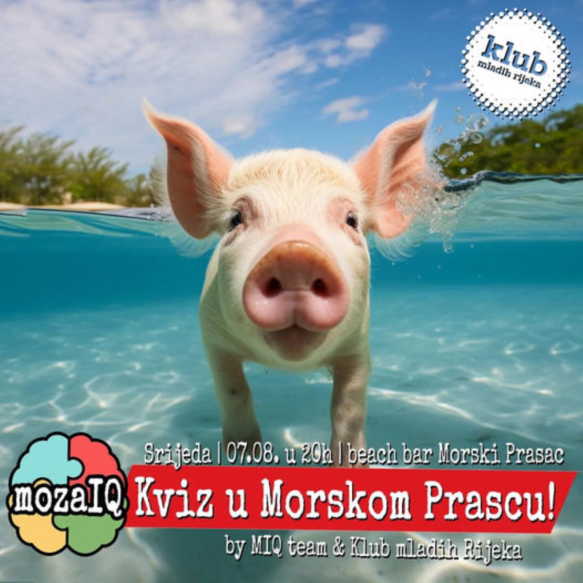 MozaIQ u Morskom prascu
