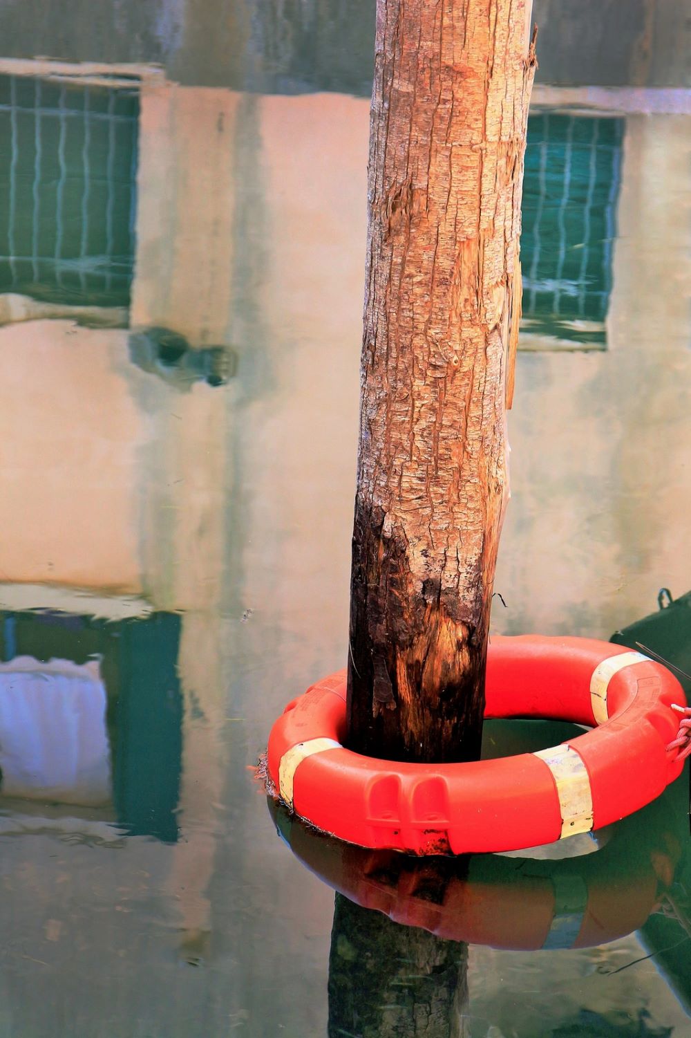 Ines Habereiter Čekanje